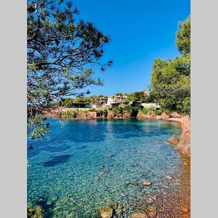 Superbe 4 Couchages Avec Terrasse - Clim - 50M De La Mer Saint-Raphael  Exterior photo